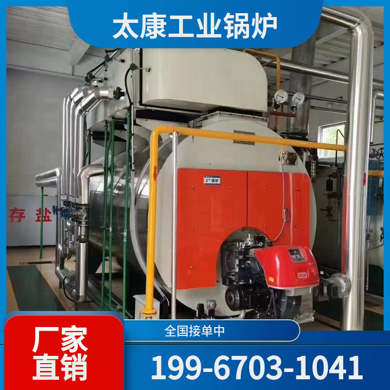 临沧燃气导热油锅炉